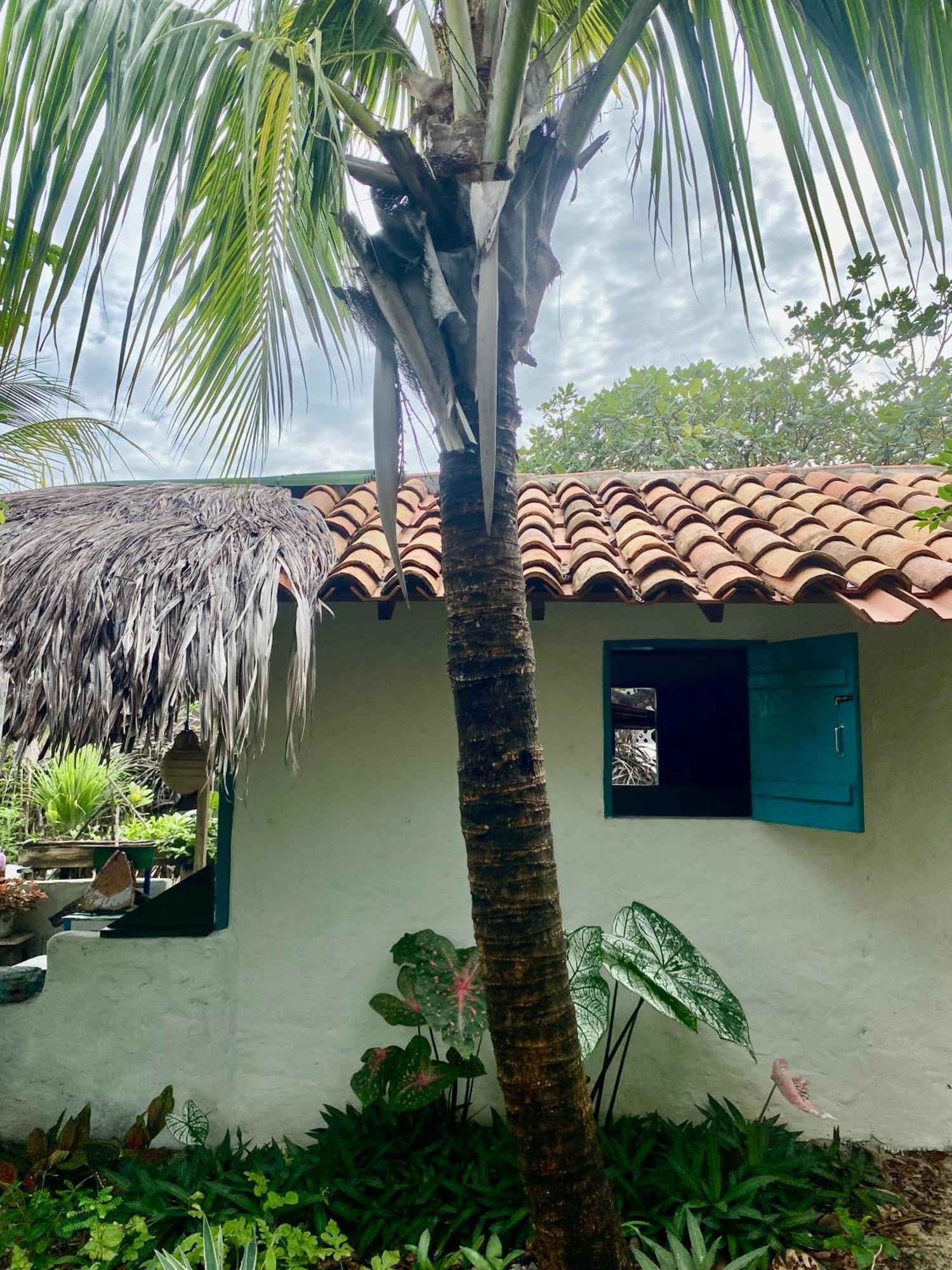Casa Acquamarina Hotel Atins Exterior photo