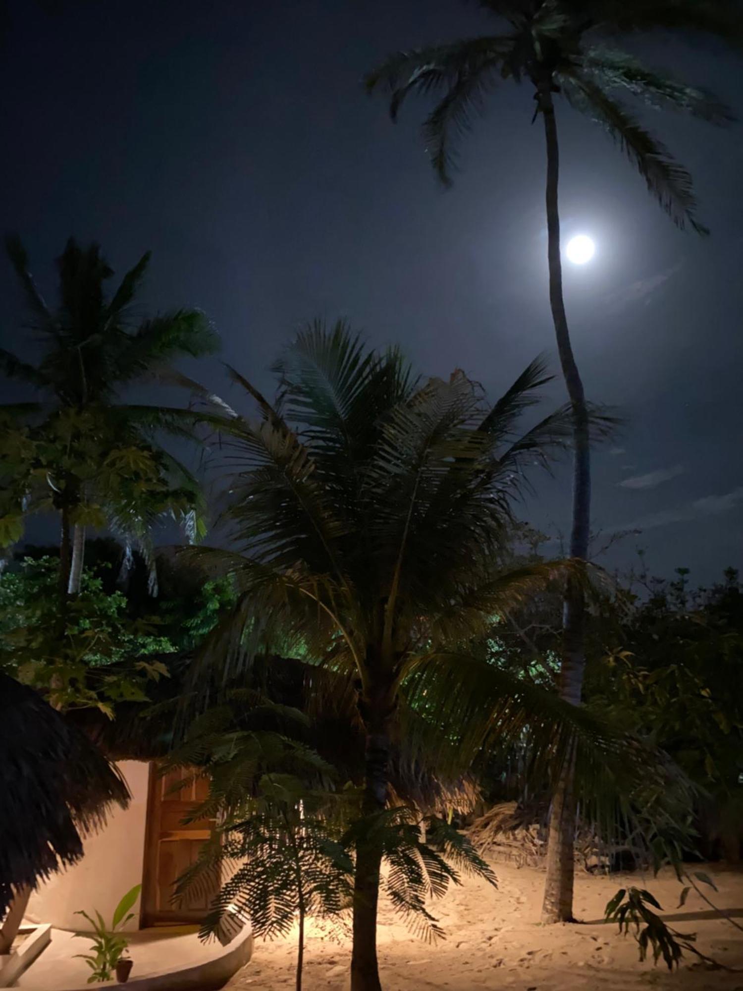Casa Acquamarina Hotel Atins Exterior photo